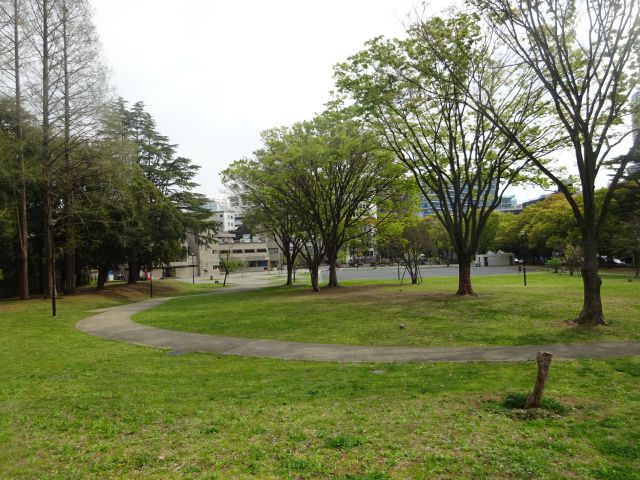 横浜駅西口「沢渡中央公園」木々と公園内の散歩道・緑の芝生など