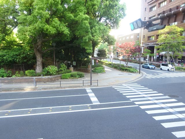 関内・日本大通り「モリバコーヒー横浜中華街カフェ」店内窓からの景色(横浜公園・中区役所など)