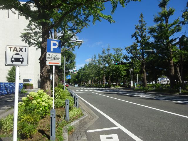 山下公園通りのタクシー乗り場(山下公園通りとタクシー乗り場の様子)