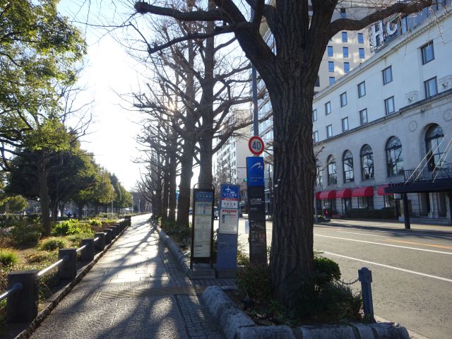 山下公園周辺のバス乗り場・羽田空港リムジンバス乗り場（山下公園・ホテルニューグランド前のバス停の様子）