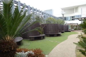 横浜ベイクォーター屋上「ベイガーデン」の芝生エリアとベンチが並んでいる様子