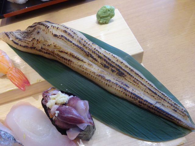 桜木町駅「二代目ぐるめ亭 CIAL桜木町店」平日ランチで注文した大名穴子と豊洲鮮魚の四季彩握りの大名穴子一本のアップ