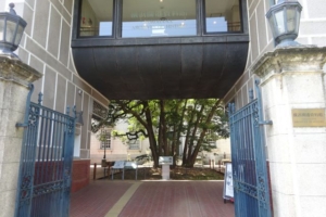 「横浜開港資料館」正面入口とたまくすの木
