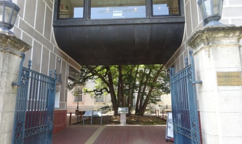 「横浜開港資料館」正面入口とたまくすの木