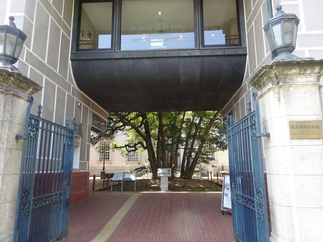 「横浜開港資料館」正面入口とたまくすの木