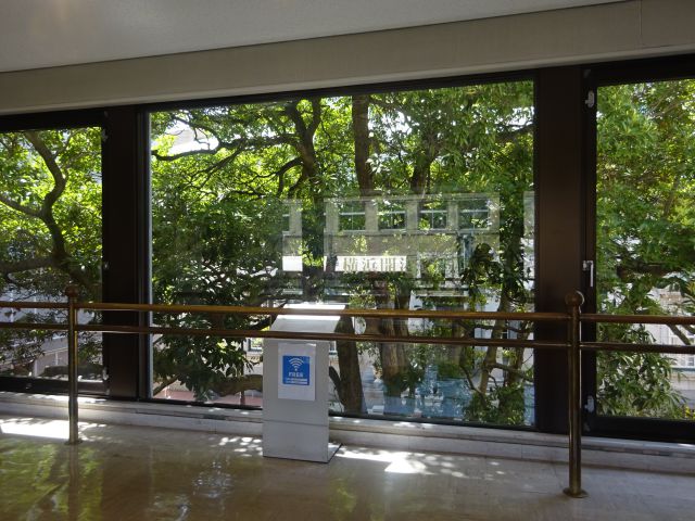 「横浜開港資料館」窓から見えるたまくすの木