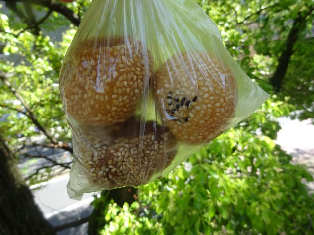 横浜中華街「聚楽（じゅらく）」で購入したゴマ団子2種（黒餡とココナッツ）と開口笑（ゴマドーナツ）が透明袋に入っているところ