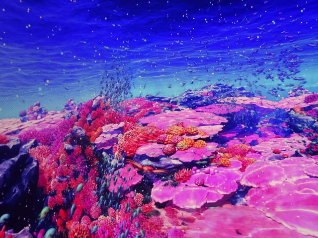 BASEGATE横浜関内「ワンダリア横浜」ゾーン2の様子（サンゴやイワシの群れなど海の中の映像）