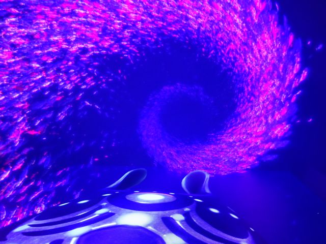 BASEGATE横浜関内「ワンダリア横浜」ゾーン2の様子（マンタと一緒にさらに深海に行く映像）