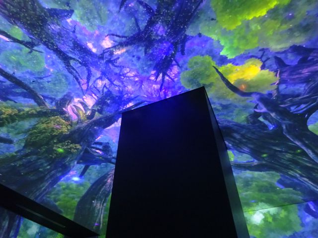 BASEGATE横浜関内「ワンダリア横浜」ゾーン3の様子（天井部、森の中の映像）