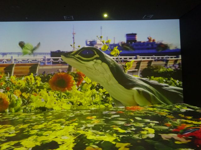 BASEGATE横浜関内「ワンダリア横浜」ゾーン6の様子（山下公園と生き物たち）