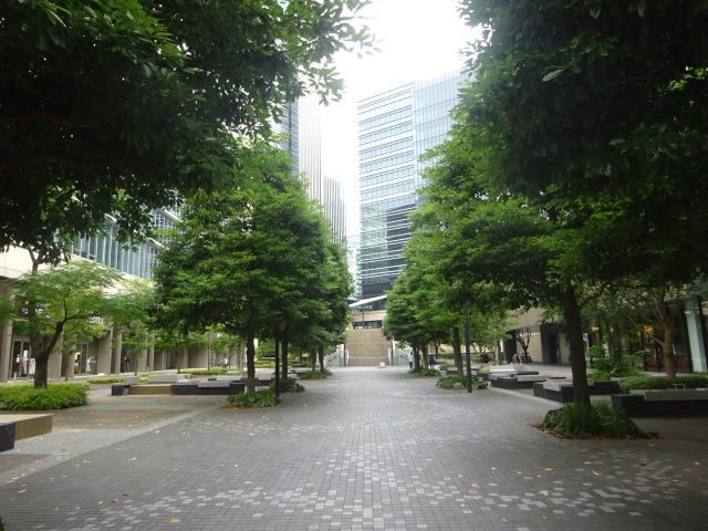 横浜みなとみらい「グランモール公園」と奥にすずかけ通り歩道橋が見える