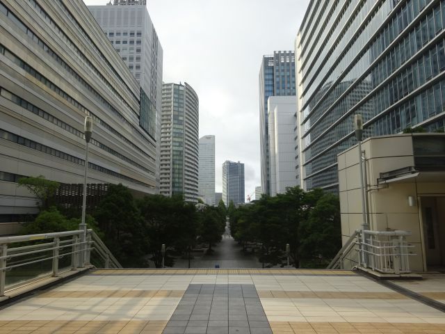 横浜みなとみらい「グランモール公園」のアクセス(すずかけ通り歩道橋から見たグランモール公園の様子)