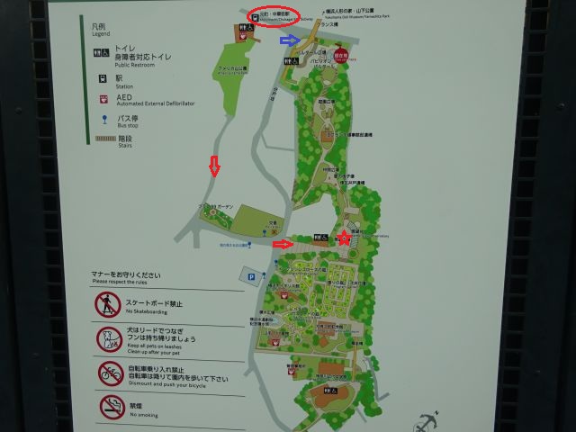 港の見える丘公園の地図（最寄り駅「元町・中華街駅」に赤い丸印、展望台のところに赤い☆印、徒歩ルート2か所に赤・青の矢印をつけている）